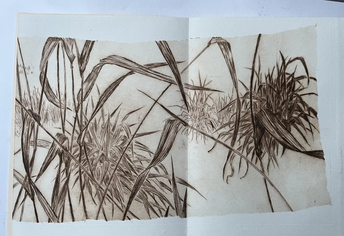 THE GRASS SO LITTLE HAS TO DO - vue interieure
